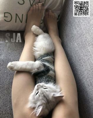 年轻的护士三级_4K高清在线