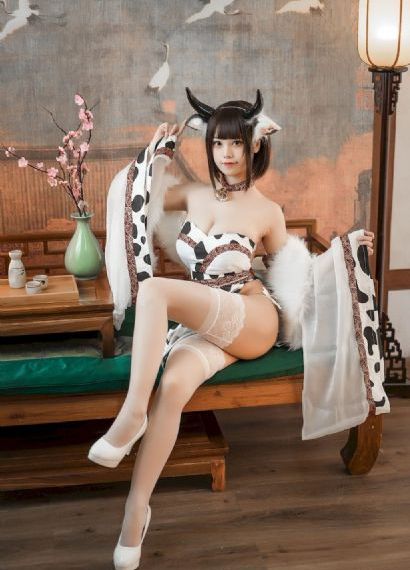 不二神探免费观看国语版_剧情片高清视频观看