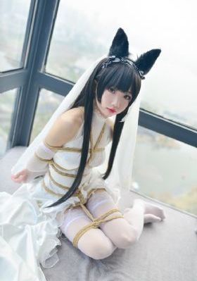 烽火铁骑_在线观看免费版