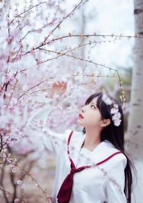 boys免费观看_高清神马影院在线